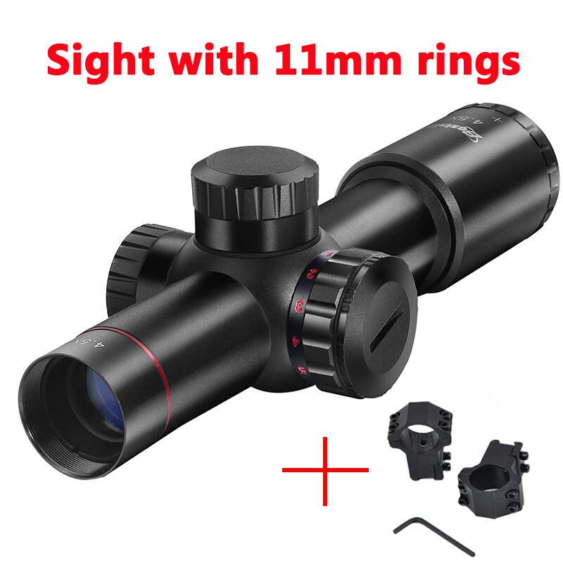 Sight With 11 Mount