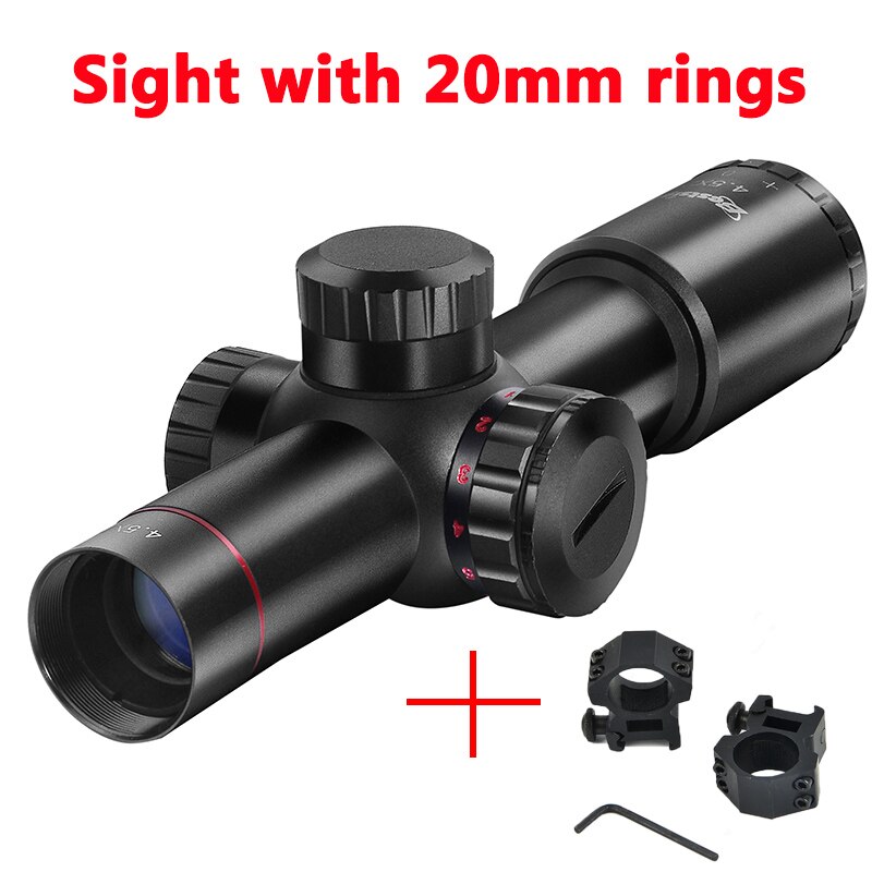 Sight With 20 Mount